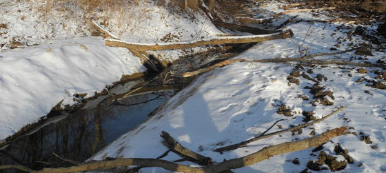  Roger's Gap Stream Restoration - Scott County, Kentucky 