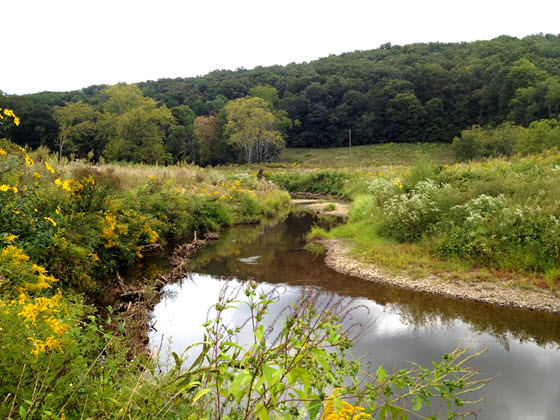  Salt Lick Creek Stream Restoration - Lewis County, Kentucky 